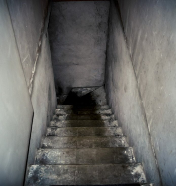 entreprise débarras cave